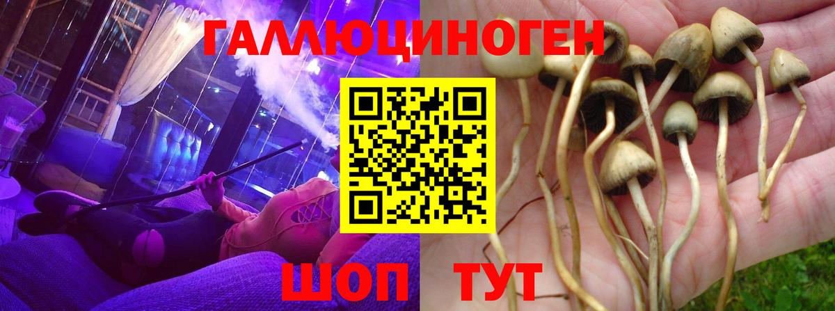 Галлюциногенные грибы мухоморы  Псилоцибиновые грибы Psilocybe  Заинск  Вход с VPN 