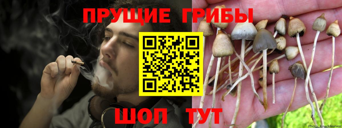 Псилоцибиновые грибы ЛСД Заинск